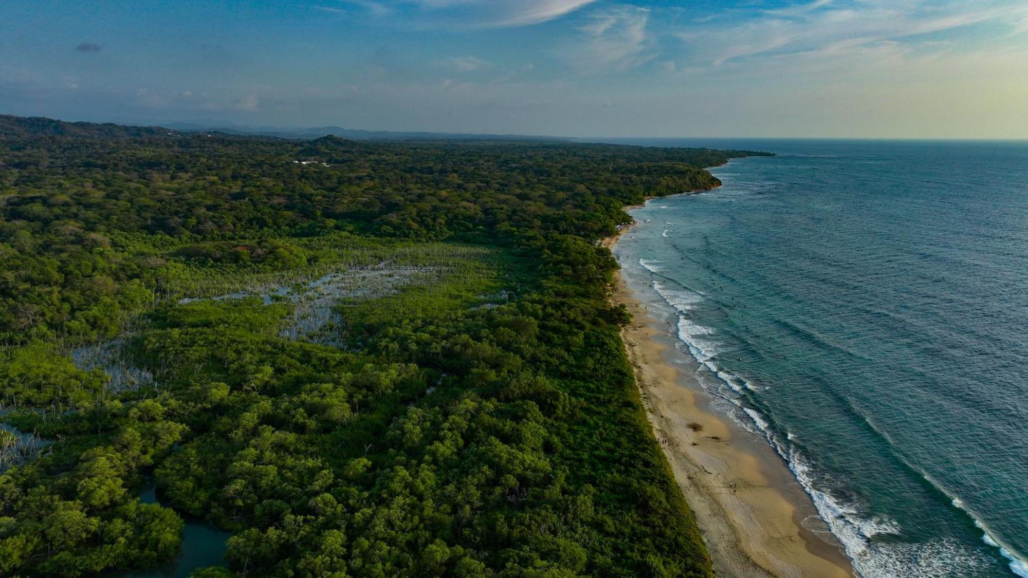 Beach Walk Costa Rica Playa Avellana Bagian luar foto